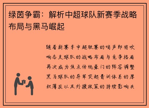 绿茵争霸：解析中超球队新赛季战略布局与黑马崛起