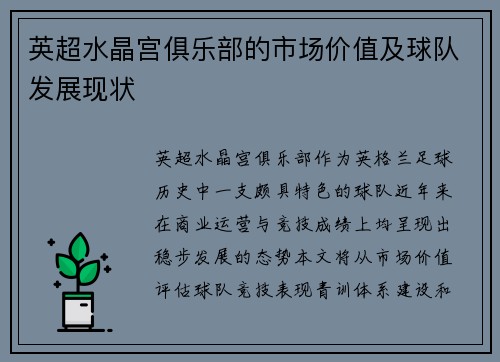 英超水晶宫俱乐部的市场价值及球队发展现状