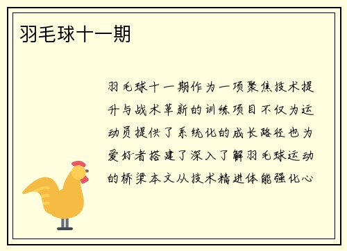 羽毛球十一期